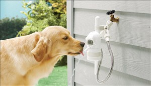 Waterdog - Frischwasserspender für Ihren Hund, reagiert mittels Sensor.