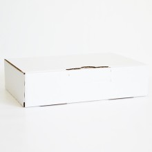 Boîte en carton de petites dimensions, pratique pour conserver, transporter ou expédier des objets.