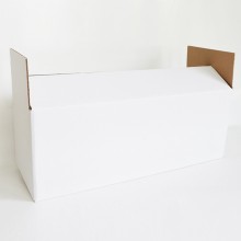Nützliche Kartonschachtel in neutralem Weiss (Aussenflächen), gut geeignet zum Aufbewahren, Versenden oder Transportieren von Gegenständen.