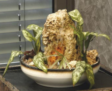 Zimmerbrunnen aus Tuffstein mit Pflanzengranulat zur individuellen Ergänzung mit Ihren Lieblingspflanzen.