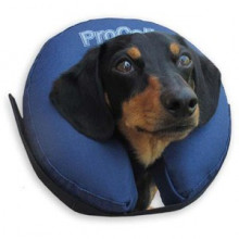 Weich und sanft: der aufblasbare Reifen verhindert, dass Ihr Hund an Verletzungen oder Wunden gelangt.