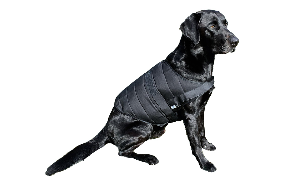 Best cooling for on the road: the E.COOLINE PowerDog SX3 cooling vest 