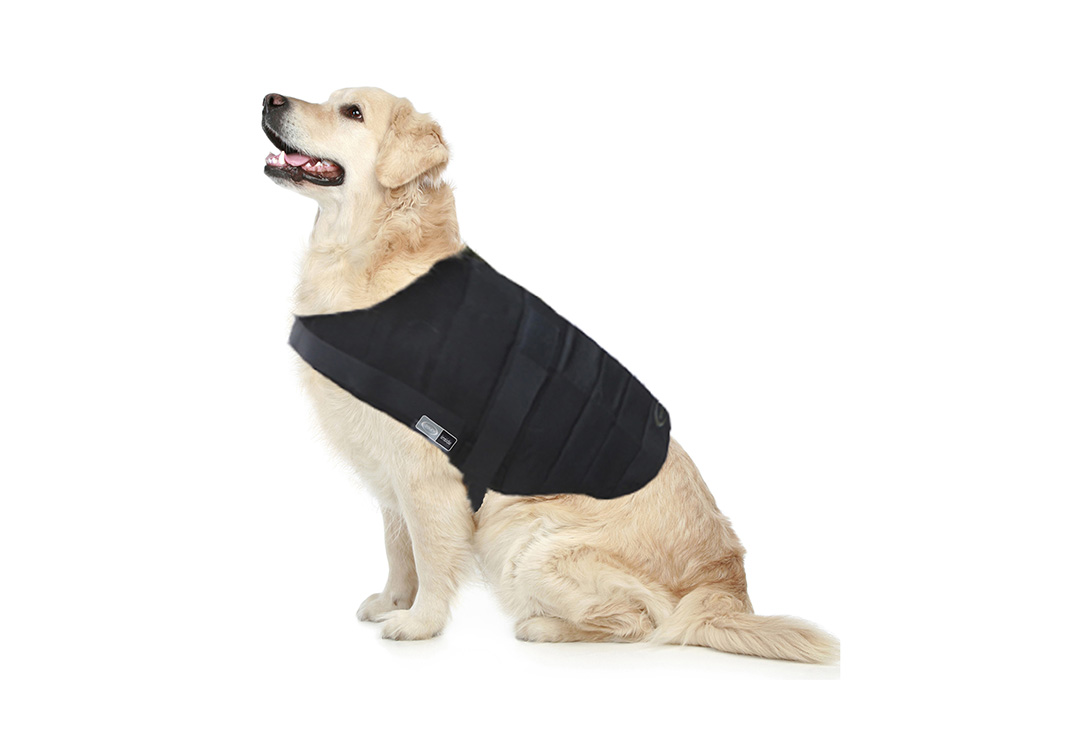 E.COOLINE PowerDog SX3 cooling vest - whenever dog needs cooling