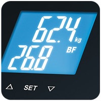 Vetro rivestito di ITO invece di elettrodi standard in acciaio inox.
Display LCD blu con illuminazione bianca.